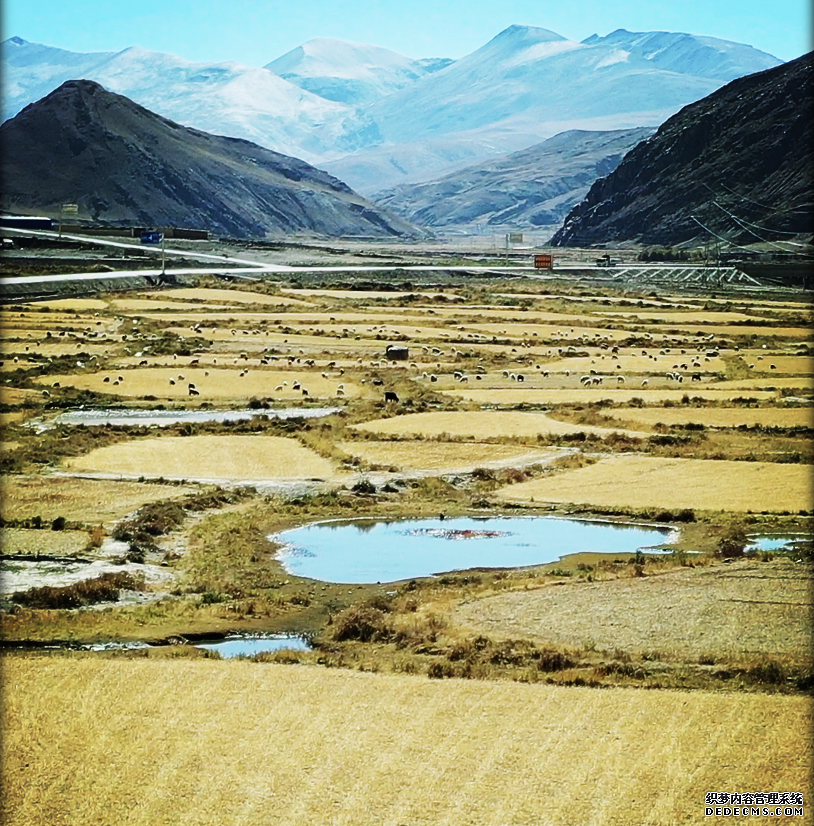 喜报！中国再添3处世界灌溉工程遗产