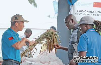 农技合作，开拓乌干达农民脱贫新路径