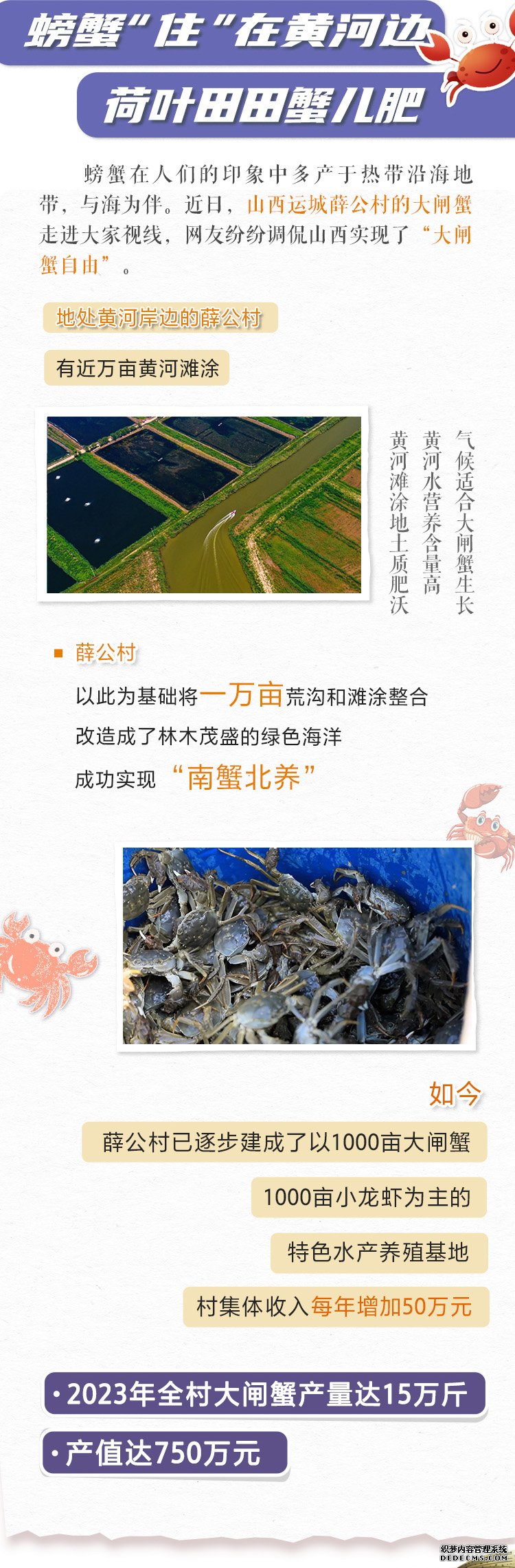 螃蟹“住”在黄河边 山西村民致富秘籍还有啥？