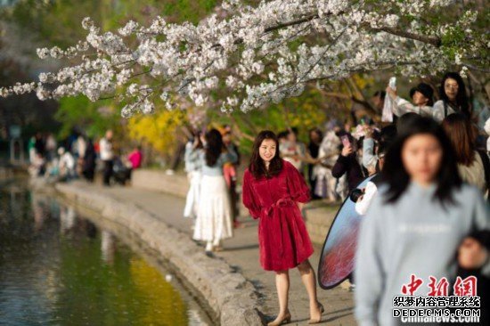 清明假期北京接待游客903万人次 旅游收入逾百亿元